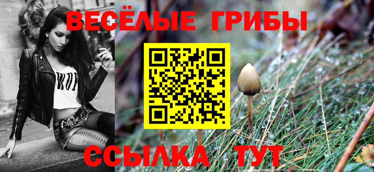 Галлюциногенные грибы мицелий  Вход с VPN  Керчь 