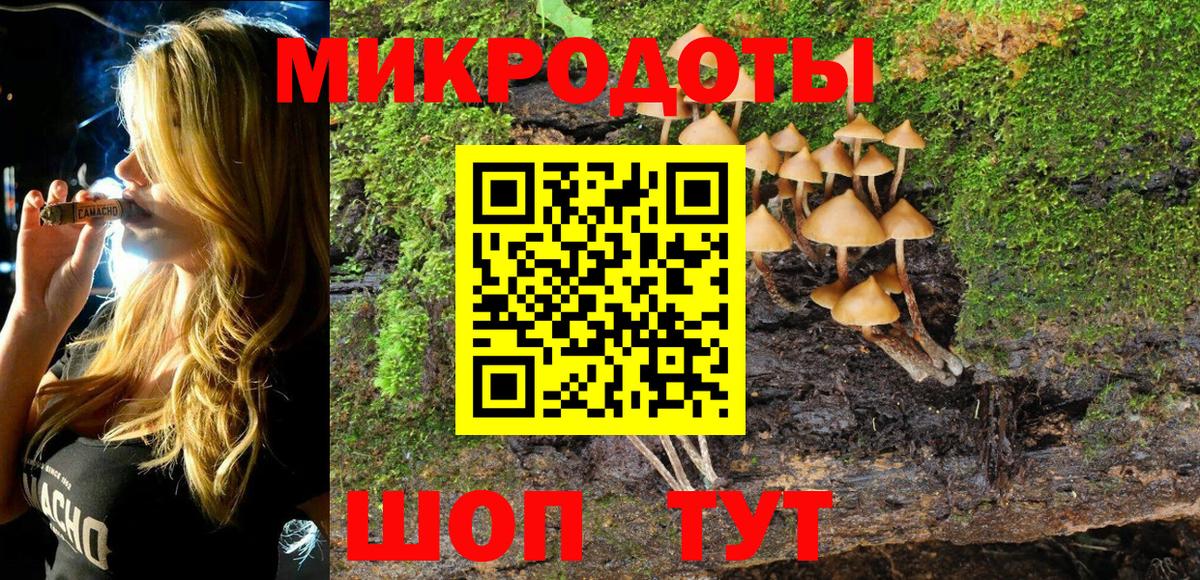 Галлюциногенные грибы Psilocybine cubensis Керчь