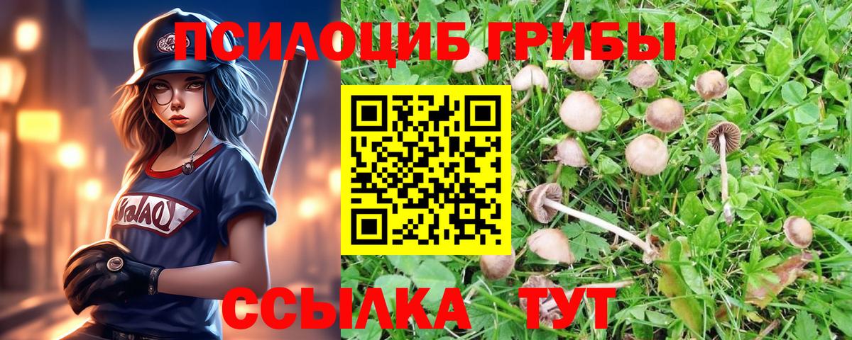 Меф мяу мяу Керчь